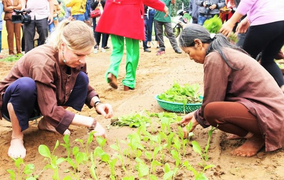 Du khách Tây xới đất trồng rau trong lễ hội ở làng rau 400 tuổi